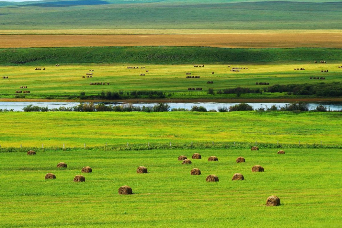 Hulunbuir Grassland